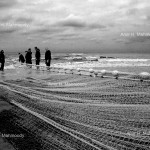 Fishermen. Mazandaran province.